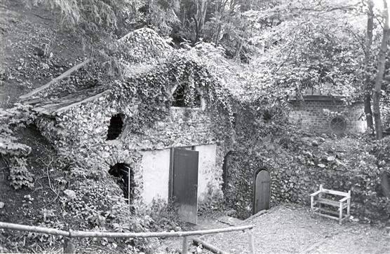 The entrance to the grotto | Wyn Hughes, Hertfordshire Archives and Local Studies