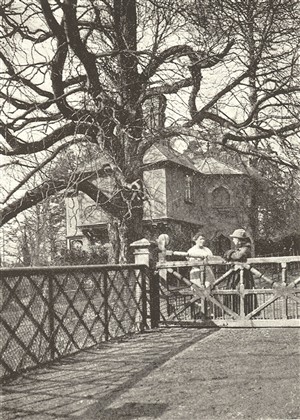 Black and white photograph of a couple posed under a tree